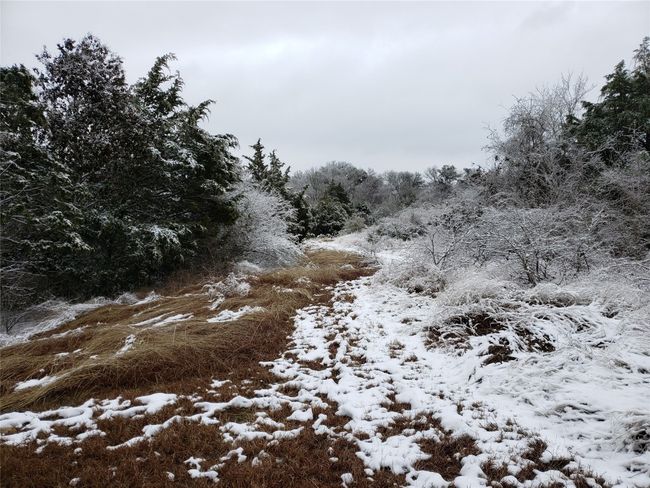 View of snowy landscape | Image 36