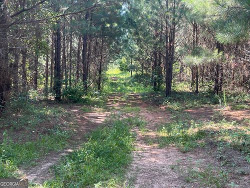 lot-6-0 Mary Johnson Dr, Franklin, GA, 30217 | Card Image