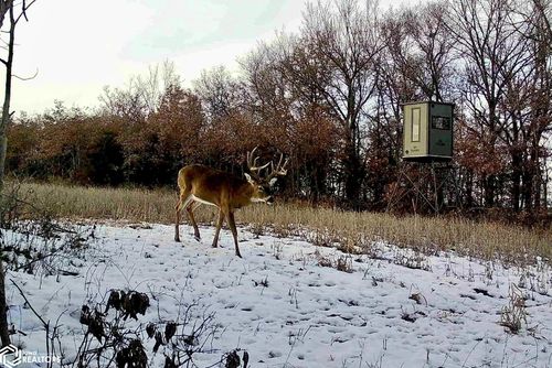 0 160th Ave, Mystic, IA, 52574 | Card Image