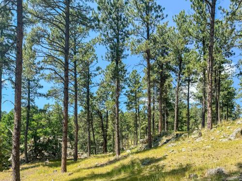 Tract Campfire Three Meadows Road, Keystone, SD, 57751 | Card Image