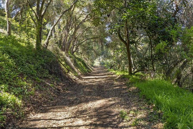4620 Casitas Pass Rd, House other with 3 bedrooms, 3 bathrooms and null parking in Ventura CA | Image 6