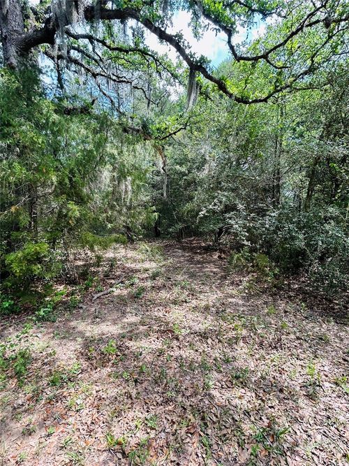 25 Acres Dunlavy Road, Cat Spring, TX, 78933 | Card Image