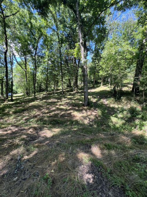 0 Horseshoe Bend Ln, Elmwood, TN, 38560 | Card Image