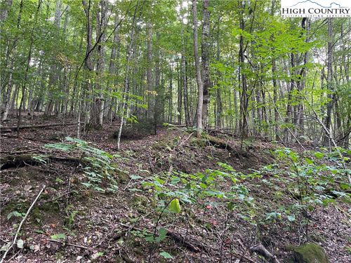 126 Arrowhead Rd, Beech Mountain, NC, 28604-8001 | Card Image