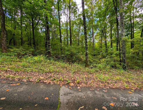 TBD Horse Cove Road, Canton, NC, 28716 | Card Image