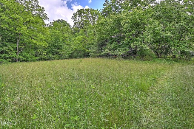 000 Goode Hollow Rd, Home with 0 bedrooms, 0 bathrooms and null parking in Duffield VA | Image 35