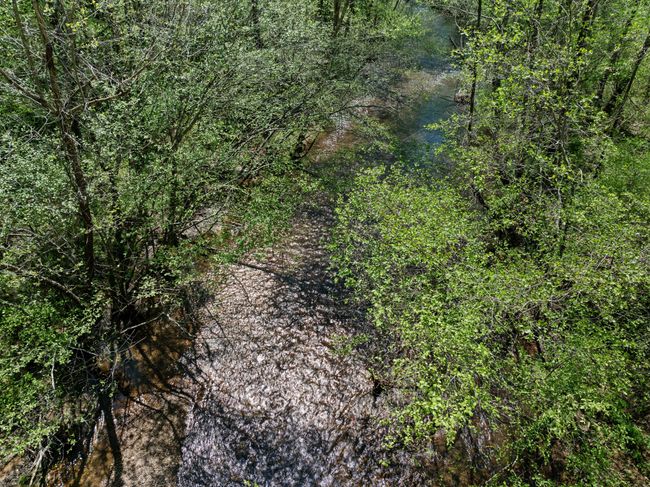 2631 Old Weatherford Creek Rd, Home with 0 bedrooms, 0 bathrooms and null parking in Lutts TN | Image 26