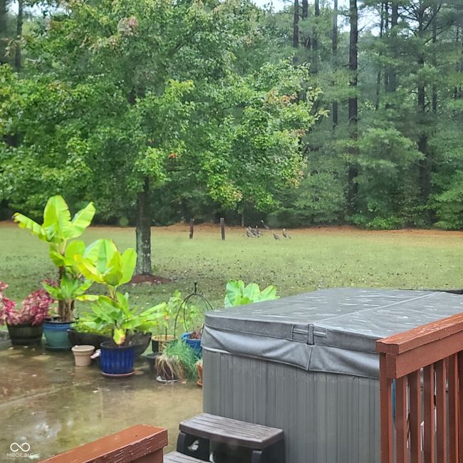 9695 Houston Rd, House other with 3 bedrooms, 3 bathrooms and null parking in Freetown IN | Image 42