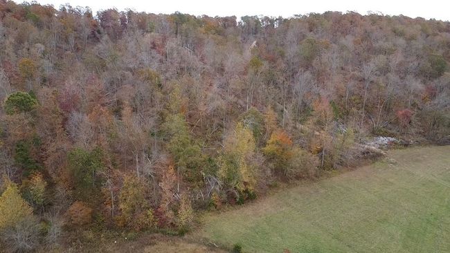 0 Mc Cord Hollow Rd, Home with 0 bedrooms, 0 bathrooms and null parking in Hohenwald TN | Image 9