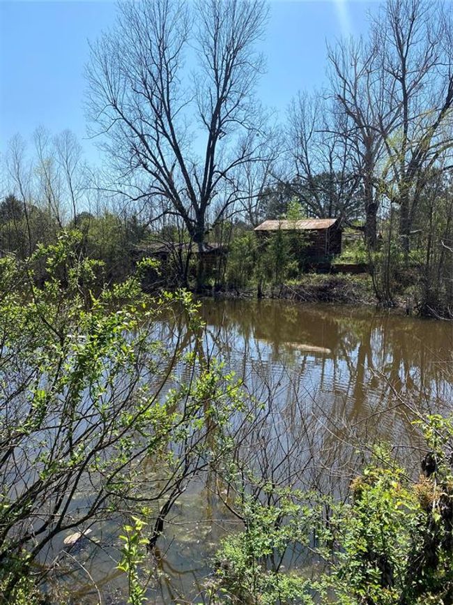 View of property view of water | Image 5