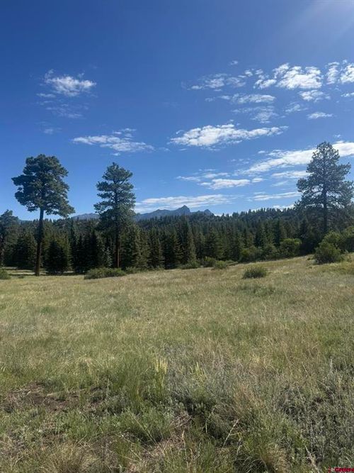 1231 Henrys Lake Dr, Pagosa Springs, CO, 81147 | Card Image
