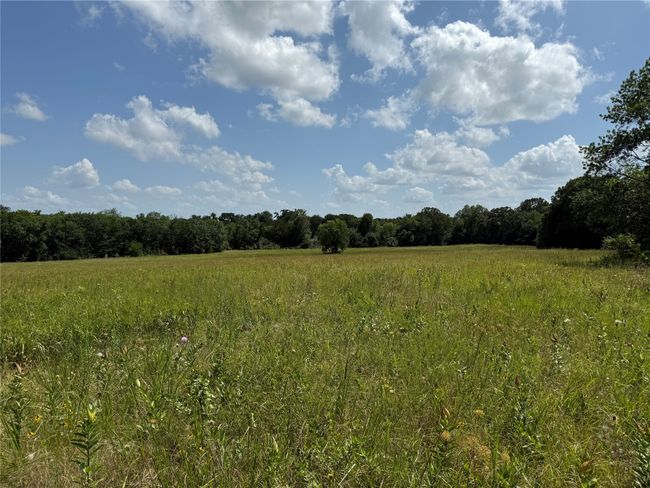 View of woods with a view of countryside | Image 17