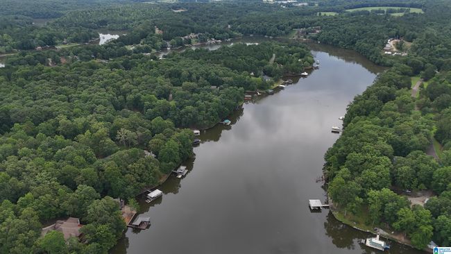358 Muffit Dr, House other with 5 bedrooms, 4 bathrooms and null parking in Wedowee AL | Image 37