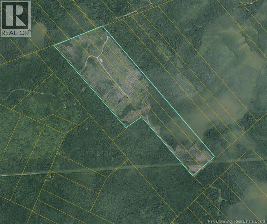 Land in Napan