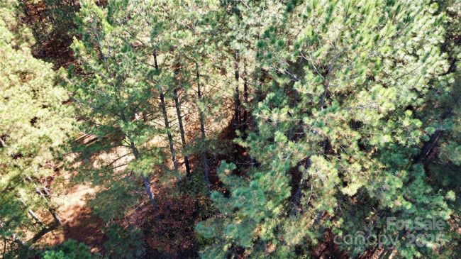 Private Haven | Image 18