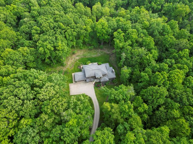 Aerial With Forest View | Image 8