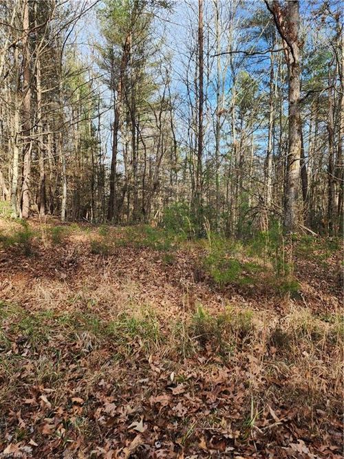 14-0 Rainbow Trout Dr, Hays, NC, 28635 | Card Image