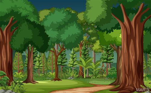 0 Coventry Ct, Fairview Heights, IL, 62208 | Card Image