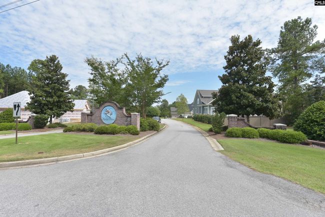 153 Pintail Lake Dr, Home with 0 bedrooms, 0 bathrooms and null parking in Gilbert SC | Image 4
