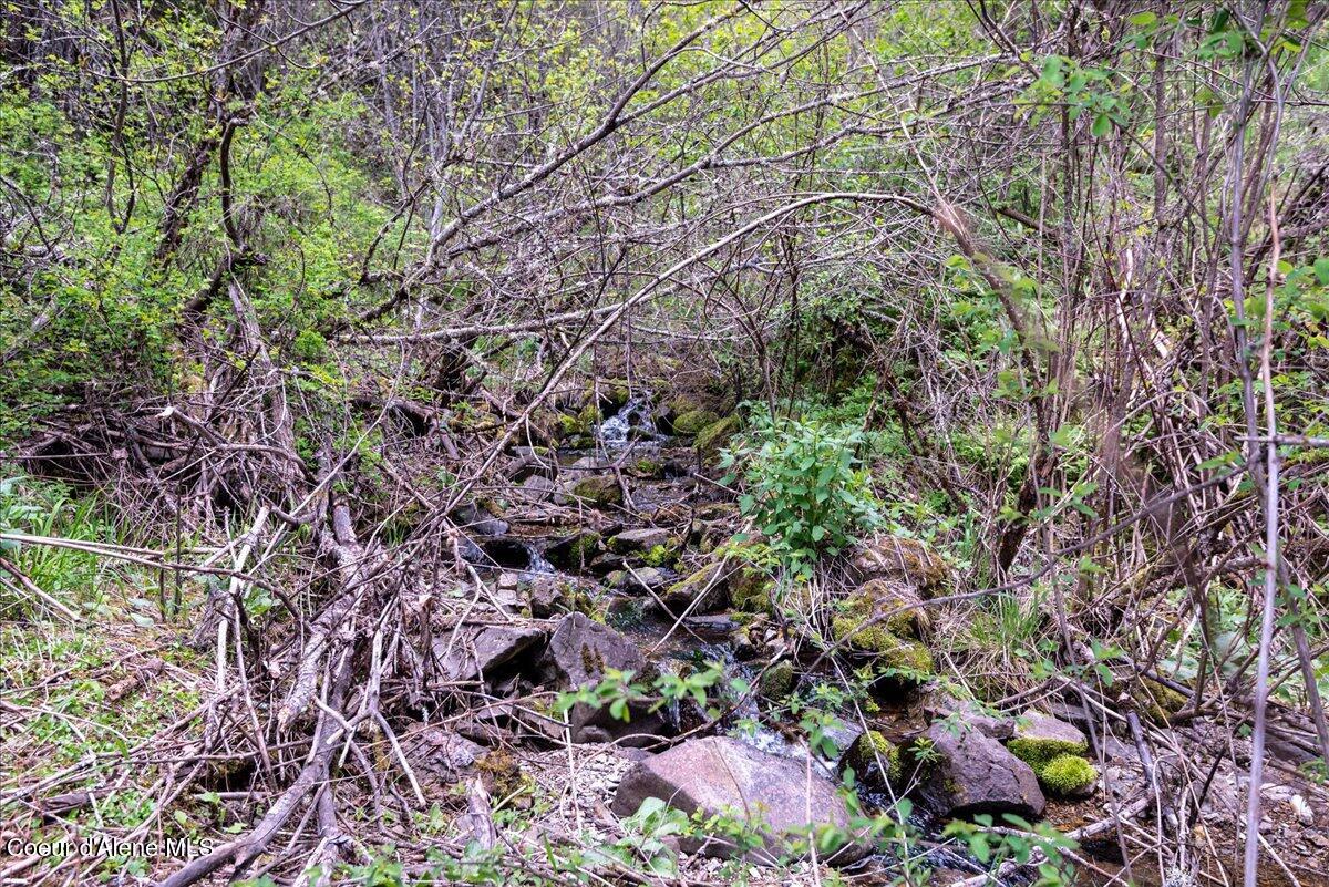 Land in Hayden 5