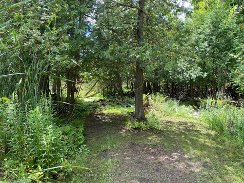 14311 County 15 Road, Merrickville Wolford, ON, K0G1N0 | Card Image