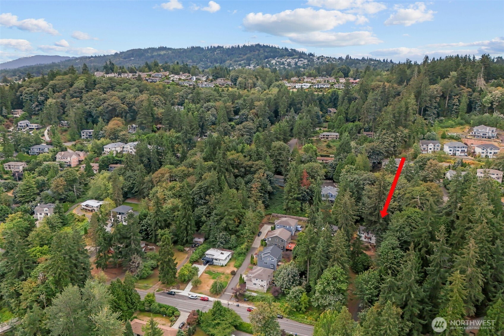 Residential in Bellevue 4