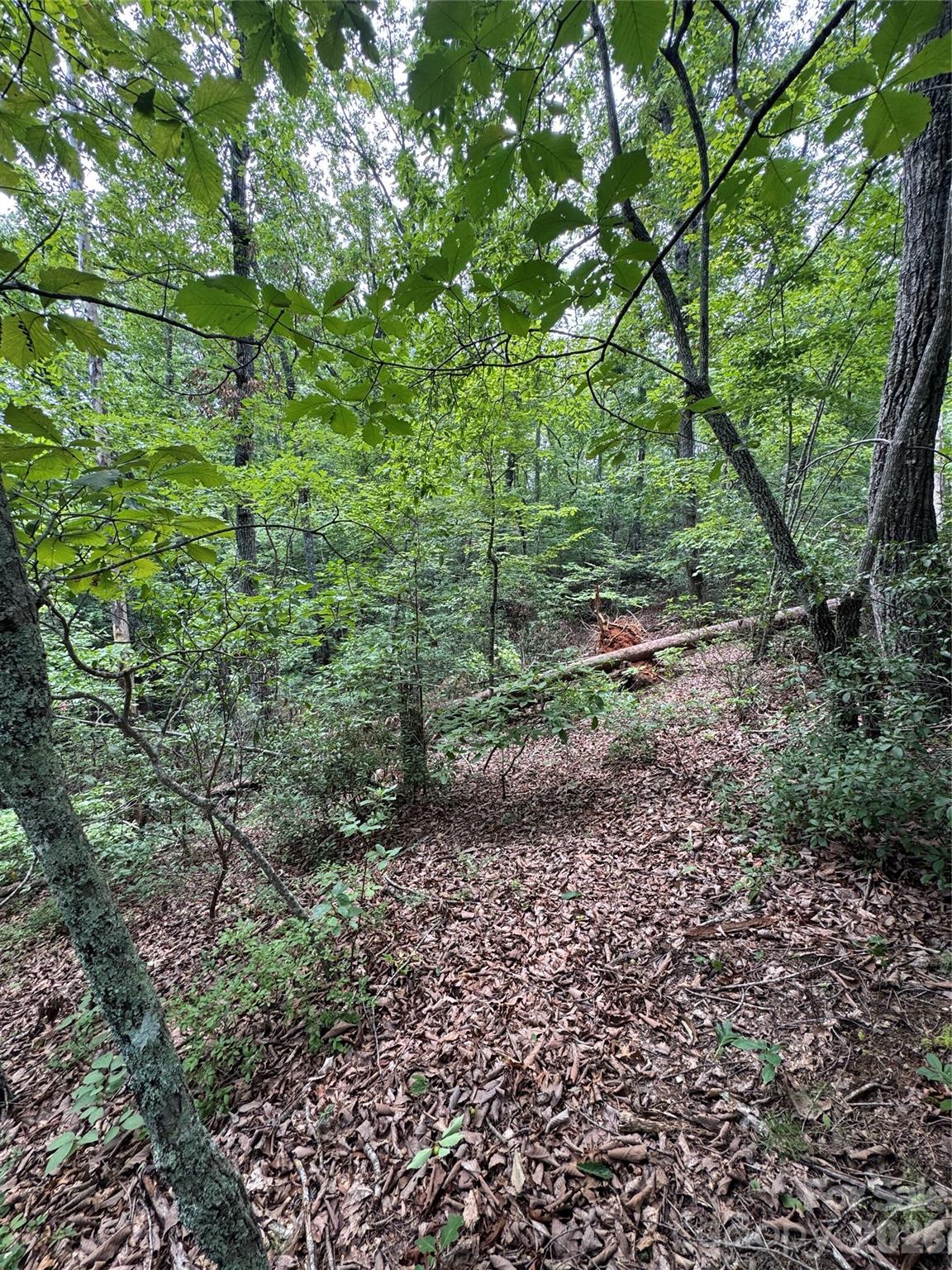 Land in Lake Lure 4