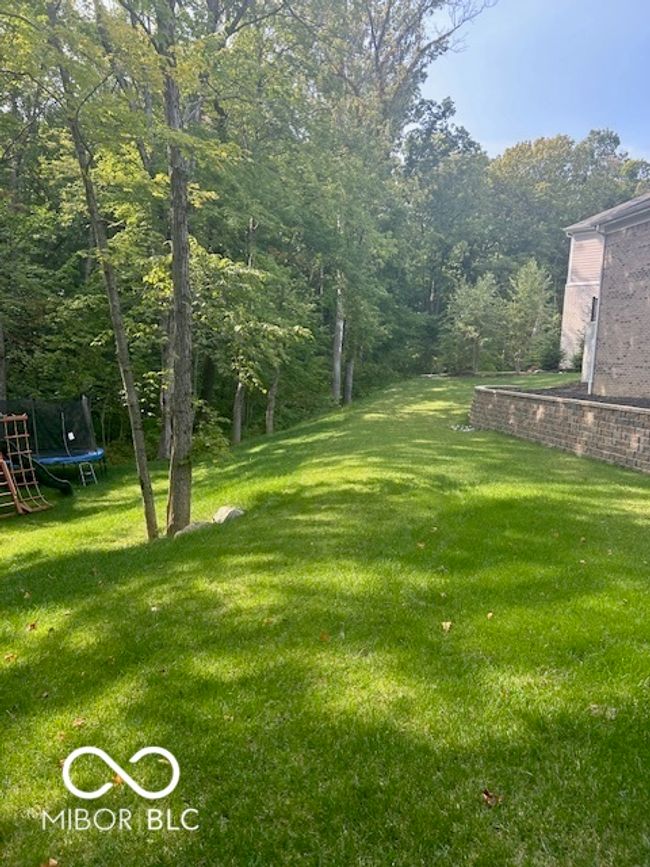 Views from last summer. | Image 73
