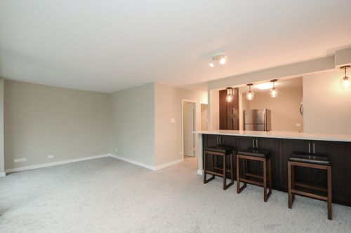 1406-211 Ohio St, CHICAGO, IL, 60611-3229 | Card Image