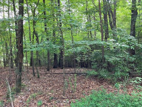 Lot 41 Floris Mountain Rd, Murphy, NC, 28906 | Card Image