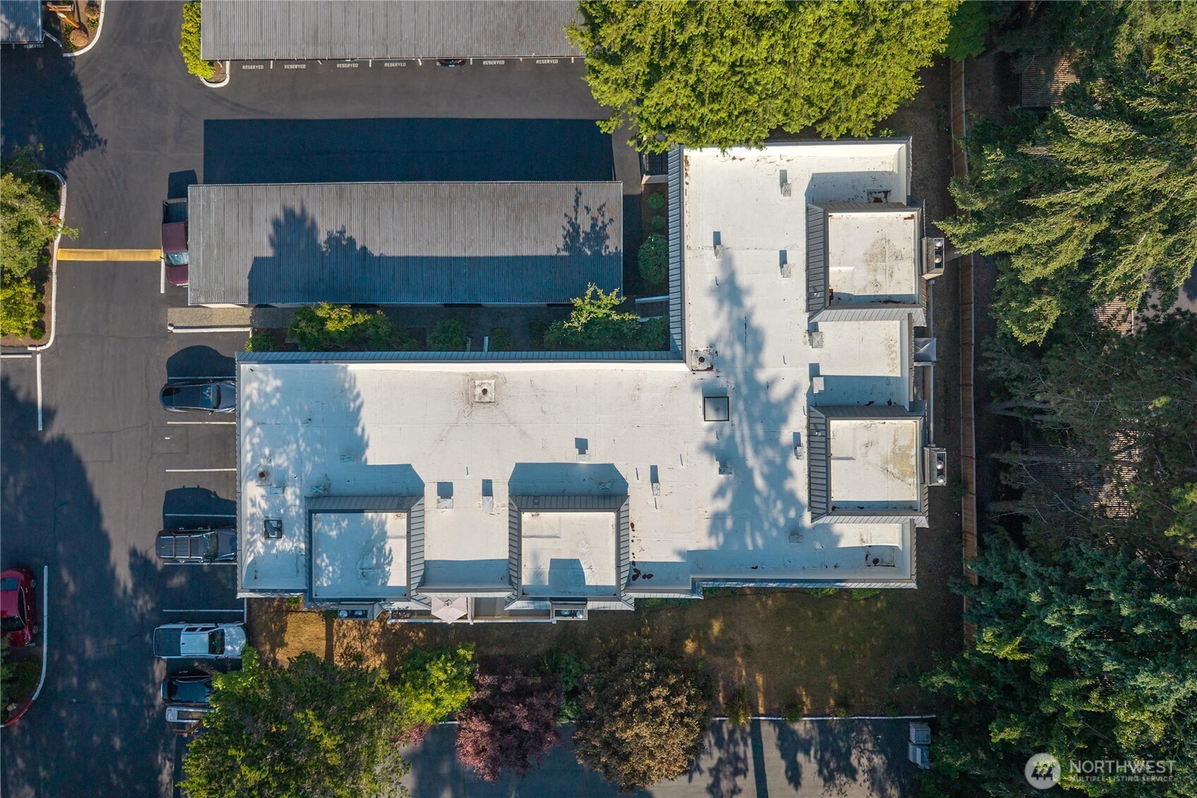 Residential in Bellevue 5