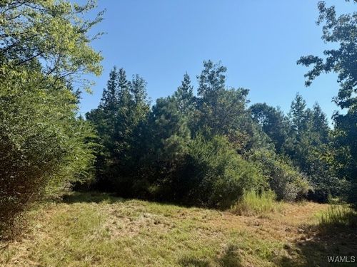 00 Elrod Rd, Elrod, AL, 35458 | Card Image