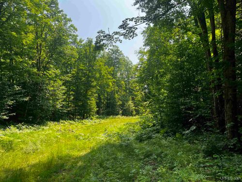 10 acres Brown Deer Road, Big Bay, MI, 49808 | Card Image