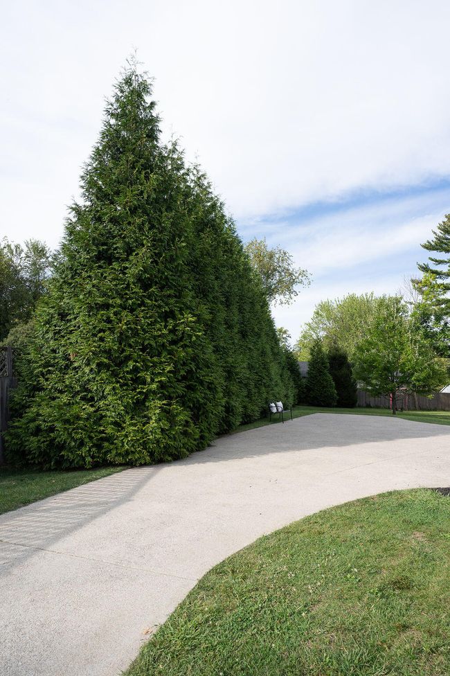 Drive way leading around to garages on side of home. | Image 99