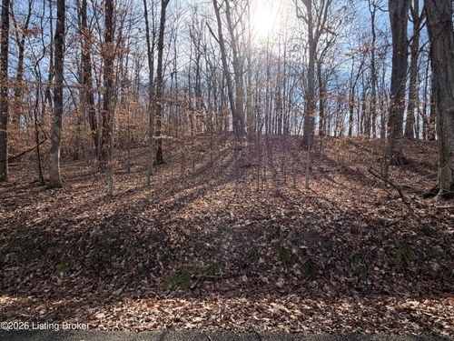 0-3 Noah Stevenson Rd, Bee Spring, KY, 42207-9353 | Card Image