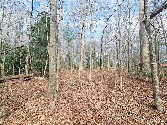 15601 Harrowgate Rd, Home with 0 bedrooms, 0 bathrooms and null parking in Chester VA | Image 7