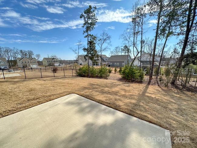 Property line extends beyond tree line. | Image 21