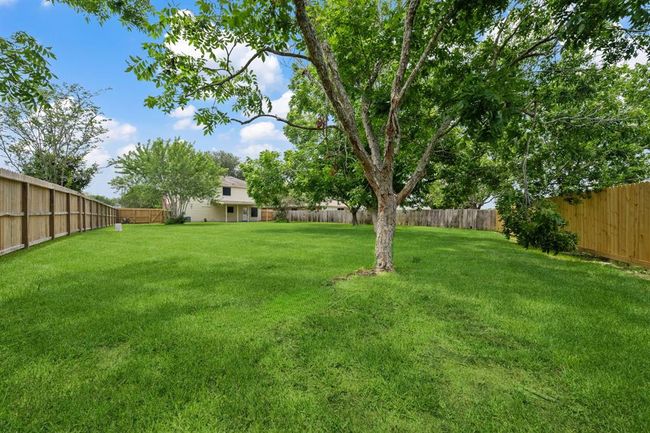 Backyard with a new fence | Image 22