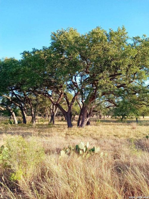 LOT 142 Mulder Dr E, Center Point, TX, 78010-2210 | Card Image