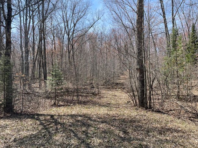 Lt0 Netzel Ln, Home with 0 bedrooms, 0 bathrooms and null parking in Crivitz WI | Image 8