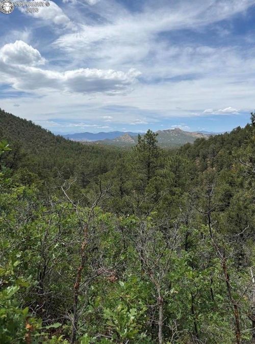 000 13th Trl, Cotopaxi, CO, 81223 | Card Image