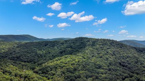 4.59 AC Rockwater Road, Cherry Log, GA, 30522 | Card Image