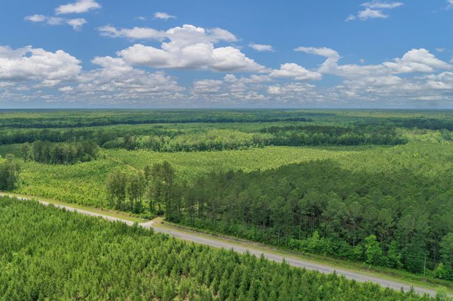 DJI_0285 | Image 4