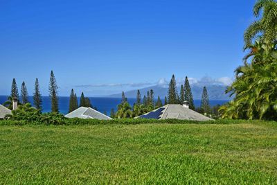 308 Cook Pine Dr, Home with 0 bedrooms, 0 bathrooms and null parking in Lahaina HI | Image 2