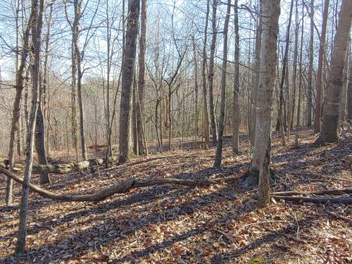 LOT 1 Truman Hill Rd, Hardy, VA, 24101-5943 | Card Image
