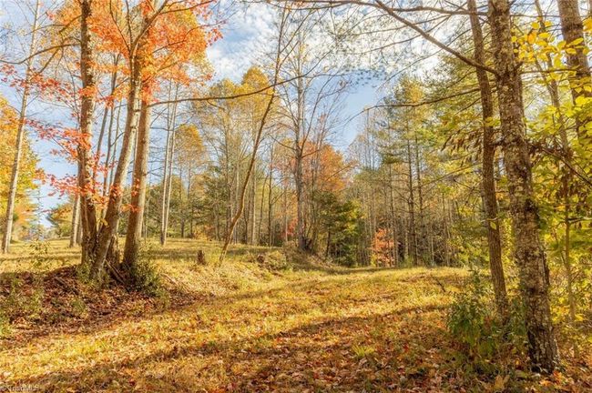 0 Laurel Creek Rd Ne, Home with 0 bedrooms, 0 bathrooms and null parking in Pilot VA | Image 12
