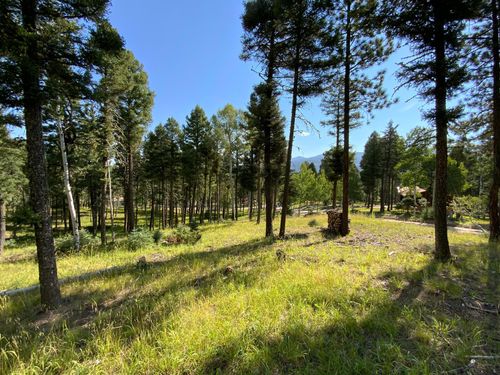114 Calle De Los Indios, Angel Fire, NM, 87710 | Card Image