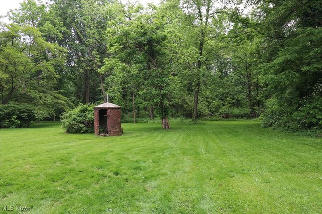 back yard | Image 17