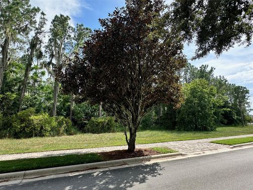 15520 Pendio Dr, BELLA COLLINA, FL, 34756-3652 | Card Image