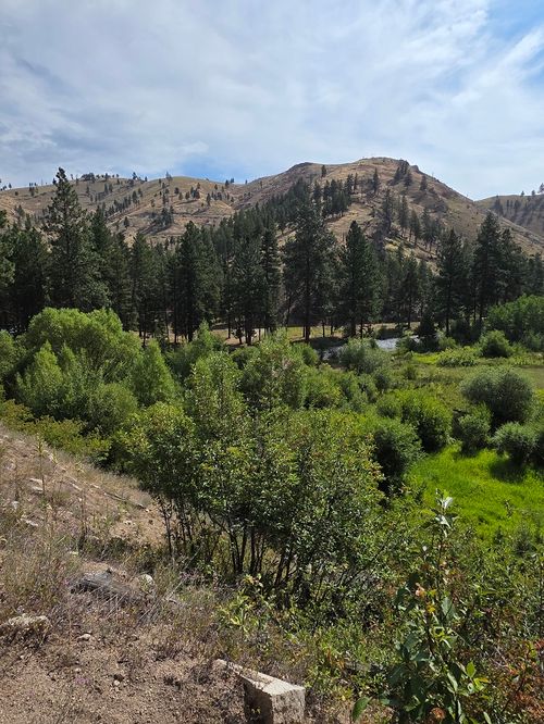 5855 Serenity Ln, Conner, MT, 59827 | Card Image